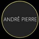 Andre Pierre Salon logo